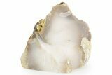 Polished Agate Replaced Petrified Wood Limb Cast - Nevada #371208-1